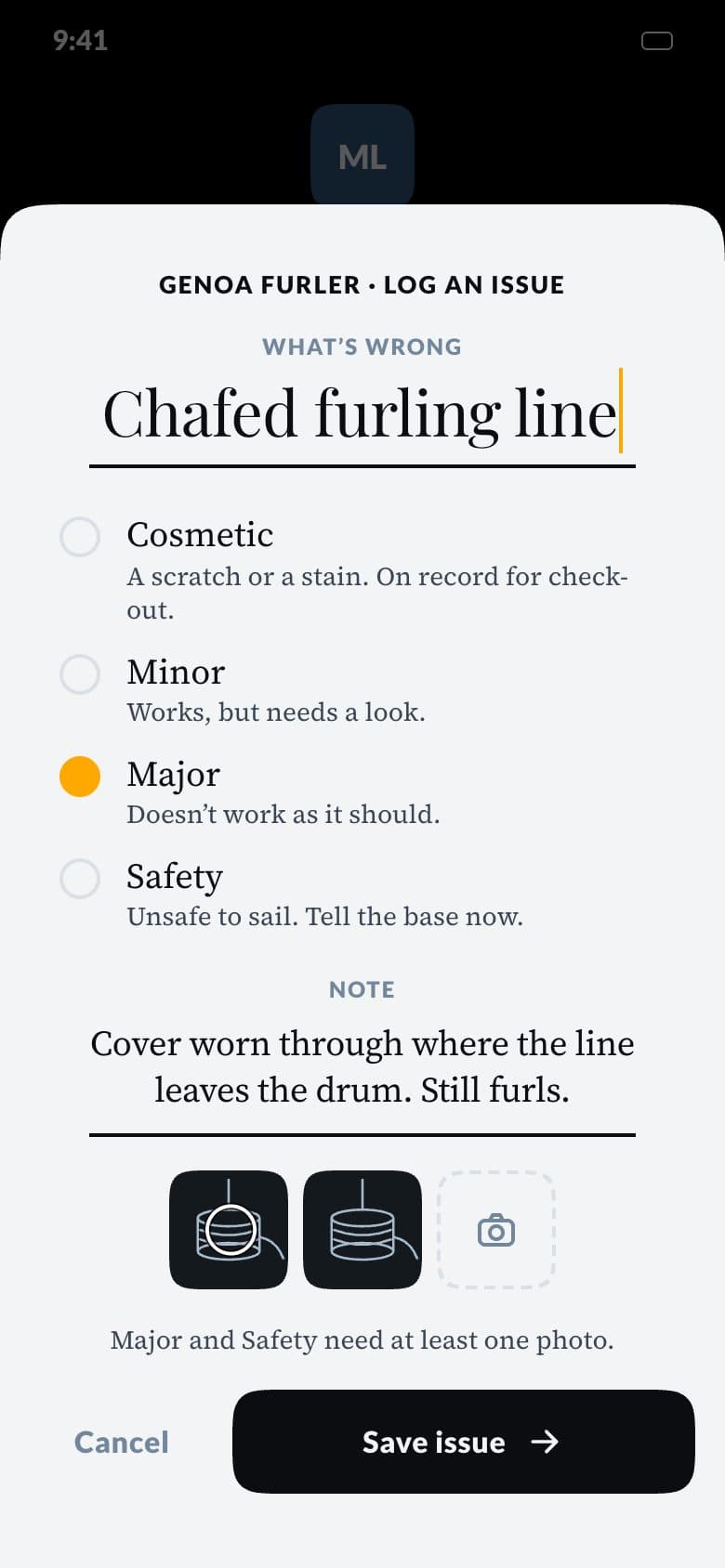 The issue sheet, with the severity choices